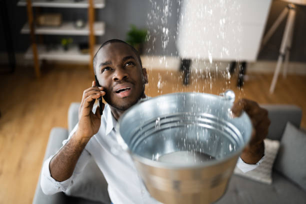 Best Carpet water damage restoration  in South Tucson, AZ