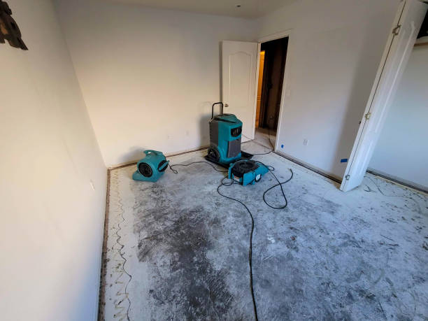 Best Water damage restoration near me  in South Tucson, AZ