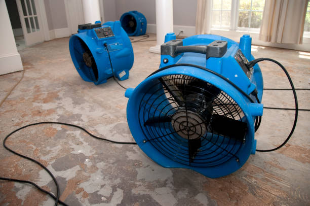 Best Water damage restoration near me  in South Tucson, AZ
