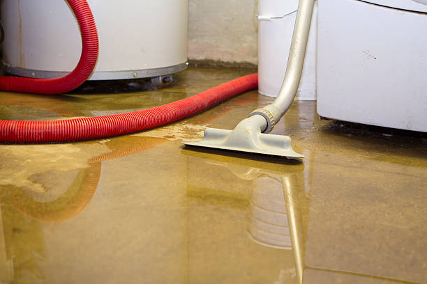  South Tucson, AZ Water damage restoration Pros