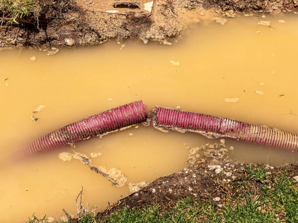 Best Water damage cleanup near me  in South Tucson, AZ