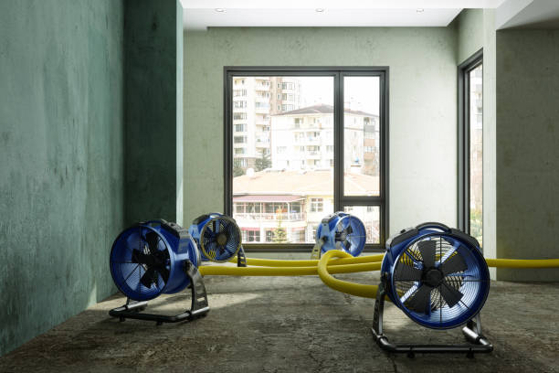 Best Local water damage restoration  in South Tucson, AZ