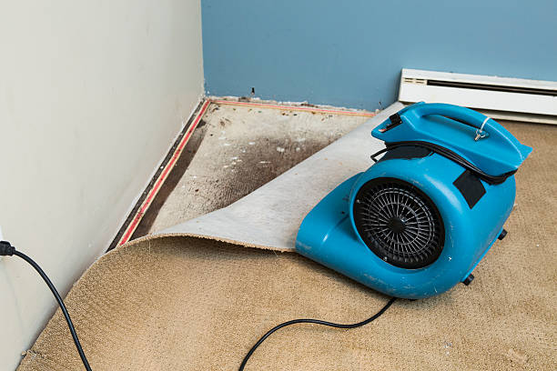 Professional Water damage restoration in AZ